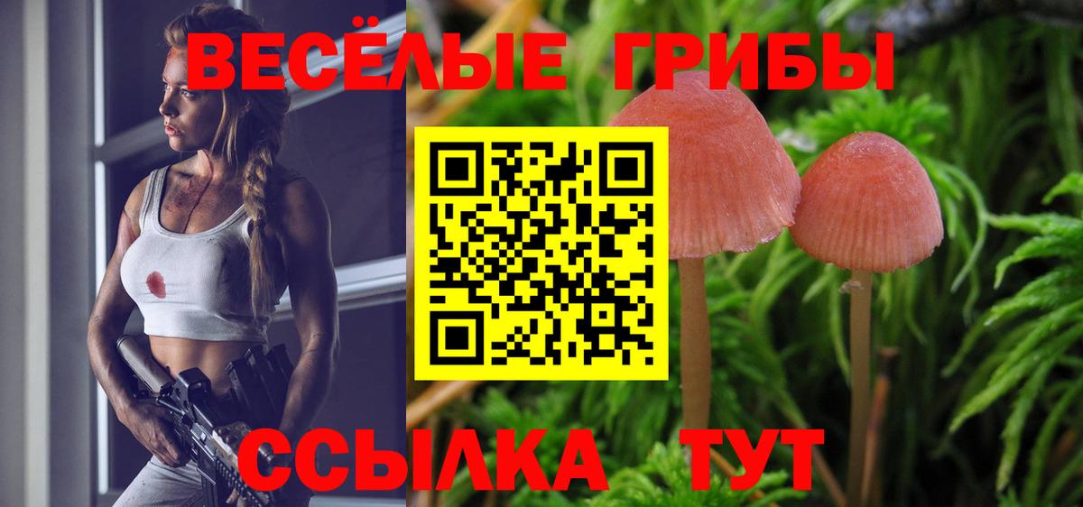 Галлюциногенные грибы MAGIC MUSHROOMS  Галлюциногенные грибы MAGIC MUSHROOMS  Вход с VPN  Подольск 